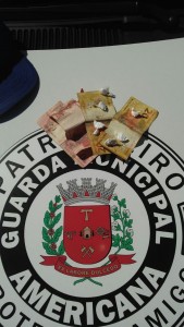 Cocaína apreendida.