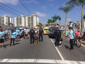Cãominhada na avenida Brasil