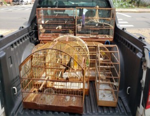 Screenshot_20230509_175437_OneDrive