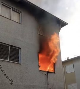 Screenshot_20260406_085603_Gallery